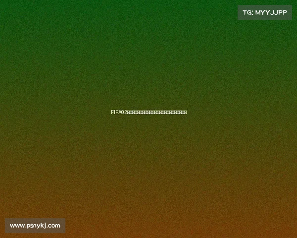 FIFA02世界杯球员数值全解析经典阵容能力评分与传奇回顾录 FIFA02世界杯球员数值全解析经典阵容能力评分与传奇回顾录